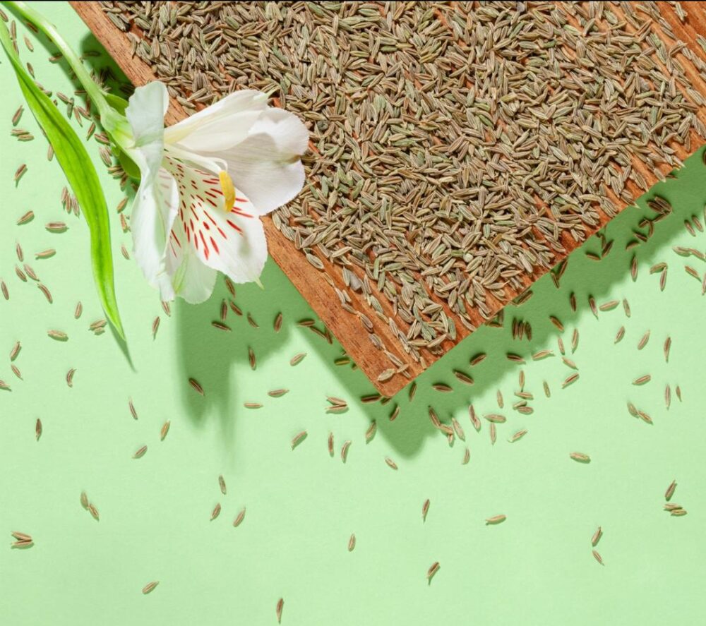 Premium Iranian Cumin Seeds – Aromatic & Flavorful