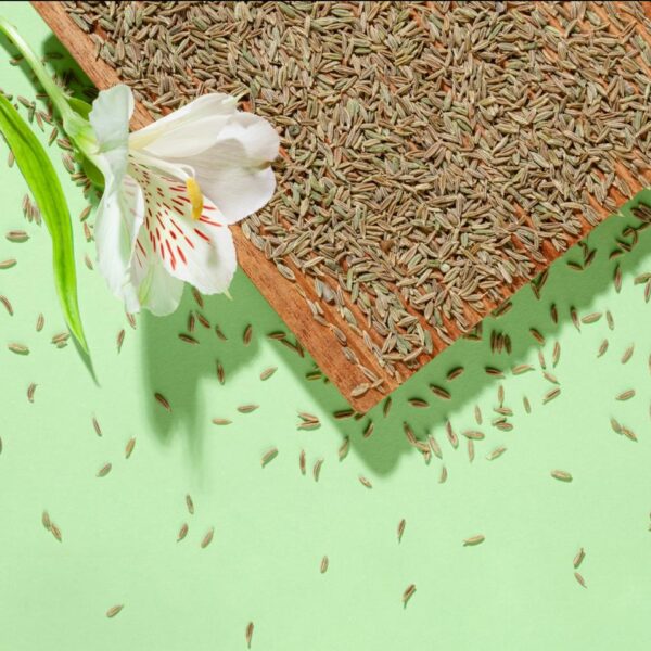 Premium Iranian Cumin Seeds – Aromatic & Flavorful